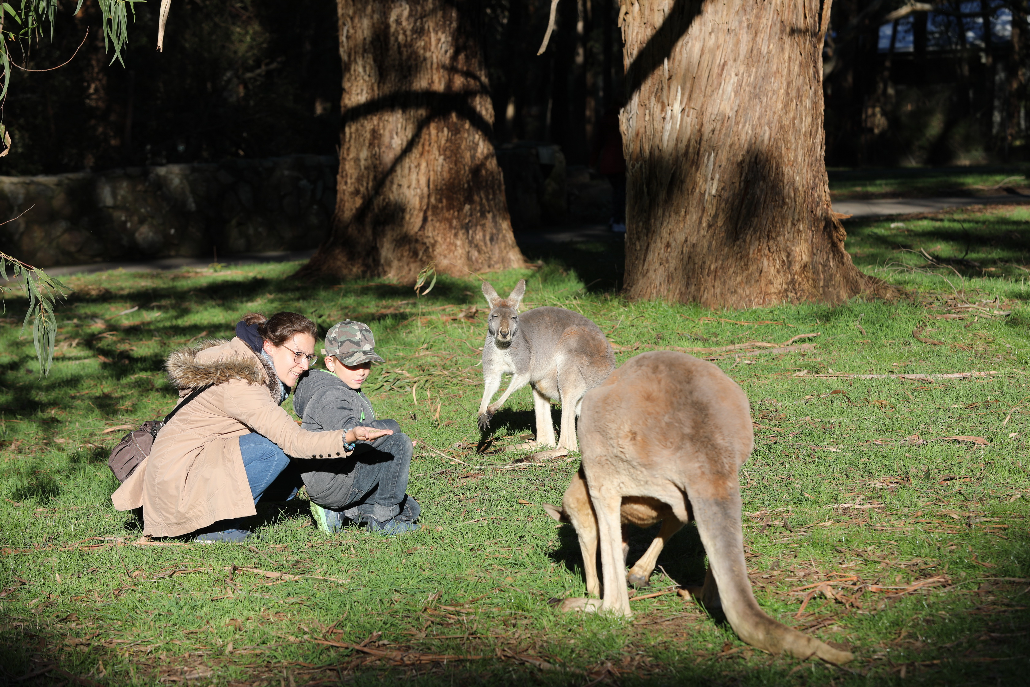 2019 07 19 15 43 05 Canon EOS 5D Mark IV 0047